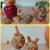 1-3
